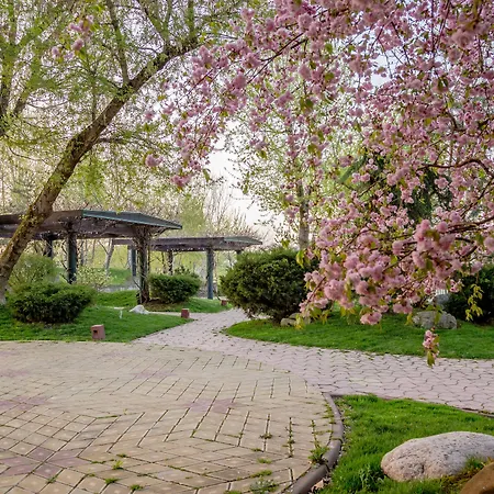 Caro 4* Бухарест