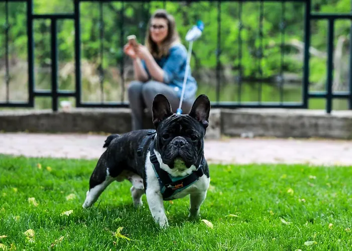 Caro Hotel Bukareszt